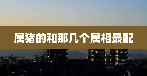 属猪的和那几个属相最配