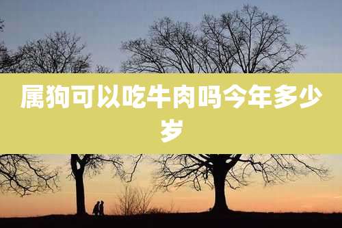 属狗可以吃牛肉吗今年多少岁