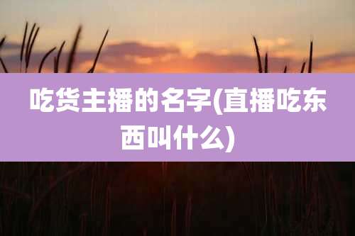 吃货主播的名字(直播吃东西叫什么)