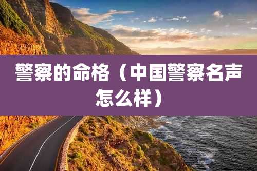 警察的命格（中国警察名声怎么样）