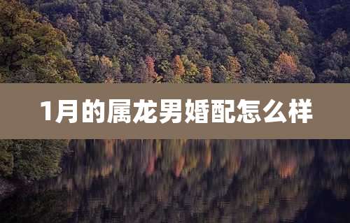 1月的属龙男婚配怎么样