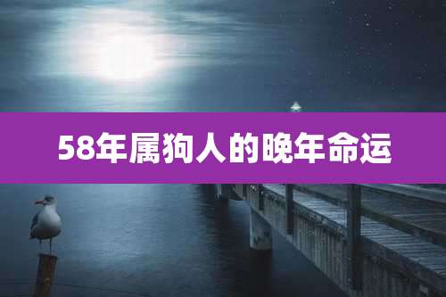 58年属狗人的晚年命运