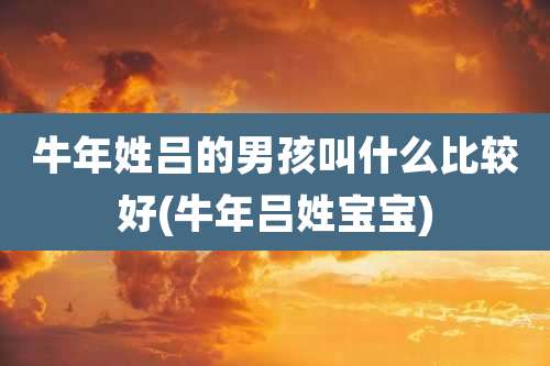 牛年姓吕的男孩叫什么比较好(牛年吕姓宝宝)