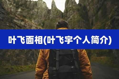 叶飞面相(叶飞宇个人简介)