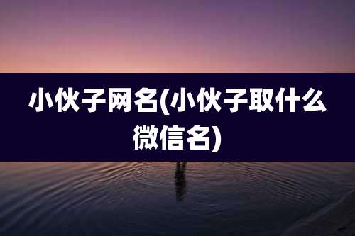 小伙子网名(小伙子取什么微信名)