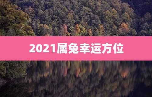 2021属兔幸运方位