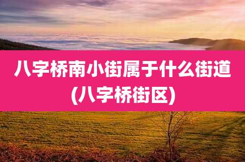 八字桥南小街属于什么街道(八字桥街区)