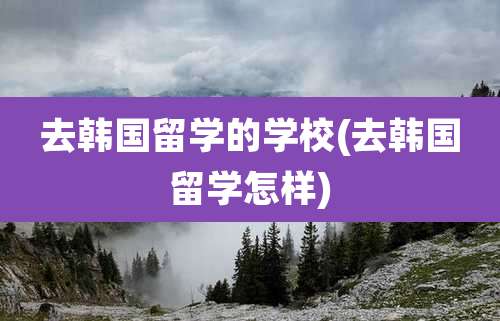 去韩国留学的学校(去韩国留学怎样)