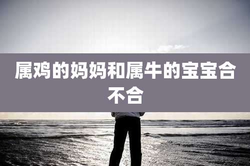 属鸡的妈妈和属牛的宝宝合不合