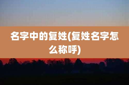 名字中的复姓(复姓名字怎么称呼)
