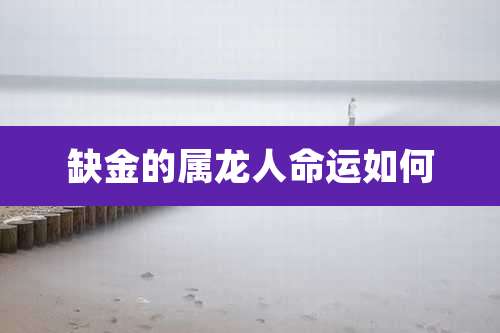 缺金的属龙人命运如何
