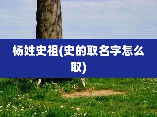 杨姓史祖(史的取名字怎么取)