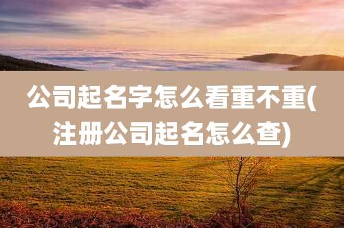 公司起名字怎么看重不重(注册公司起名怎么查)