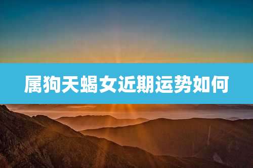 属狗天蝎女近期运势如何