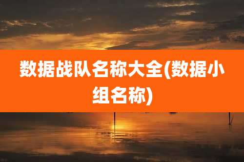 数据战队名称大全(数据小组名称)