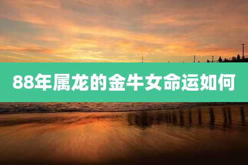 88年属龙的金牛女命运如何
