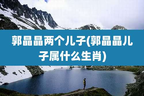 郭晶晶两个儿子(郭晶晶儿子属什么生肖)