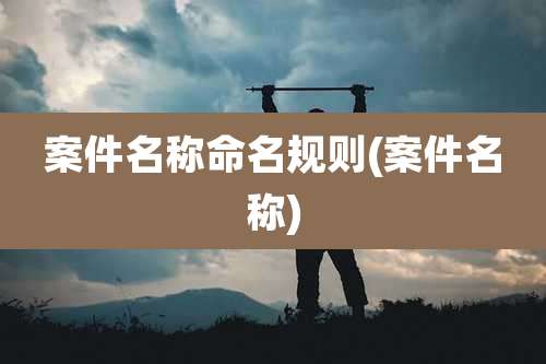 案件名称命名规则(案件名称)