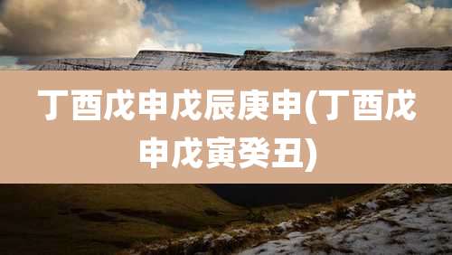 丁酉戊申戊辰庚申(丁酉戊申戊寅癸丑)