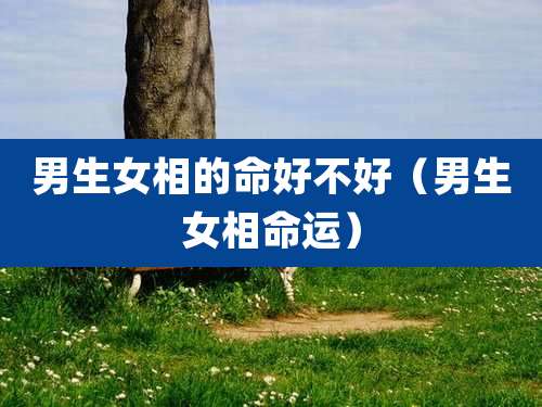 男生女相的命好不好（男生女相命运）