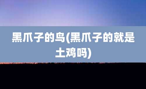 黑爪子的鸟(黑爪子的就是土鸡吗)