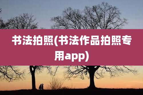 书法拍照(书法作品拍照专用app)