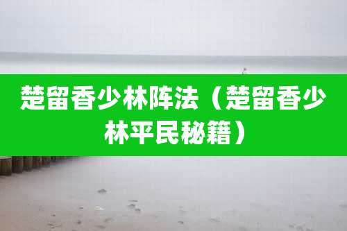 楚留香少林阵法（楚留香少林平民秘籍）