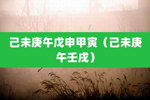 己未庚午戊申甲寅（己未庚午壬戌）