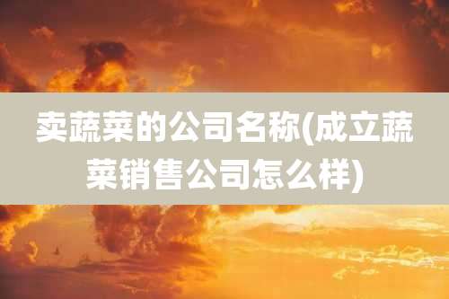 卖蔬菜的公司名称(成立蔬菜销售公司怎么样)