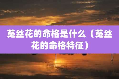 菟丝花的命格是什么（菟丝花的命格特征）