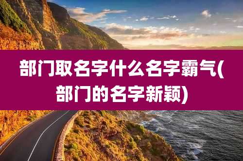 部门取名字什么名字霸气(部门的名字新颖)