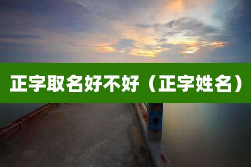 正字取名好不好（正字姓名）