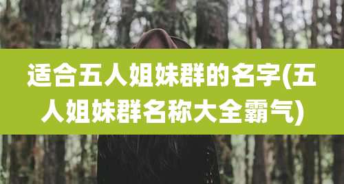 适合五人姐妹群的名字(五人姐妹群名称大全霸气)