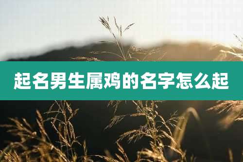 起名男生属鸡的名字怎么起