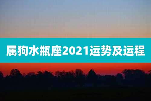 属狗水瓶座2021运势及运程