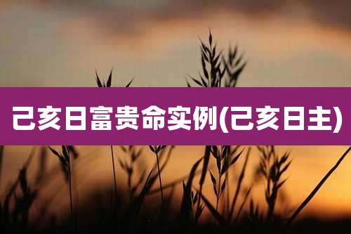 己亥日富贵命实例(己亥日主)