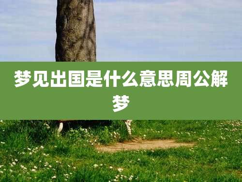 梦见出国是什么意思周公解梦