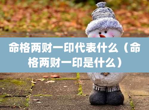 命格两财一印代表什么（命格两财一印是什么）