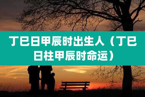 丁巳日甲辰时出生人（丁巳日柱甲辰时命运）
