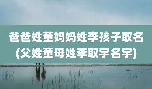 爸爸姓董妈妈姓李孩子取名(父姓董母姓李取字名字)