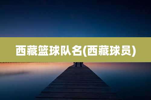 西藏篮球队名(西藏球员)