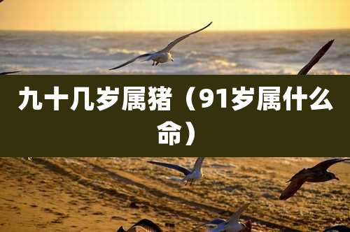九十几岁属猪（91岁属什么命）