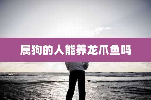 属狗的人能养龙爪鱼吗