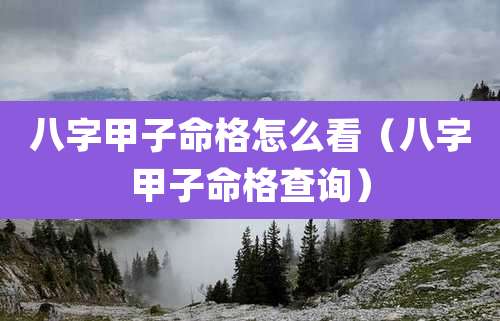 八字甲子命格怎么看(八字甲子命格查询)