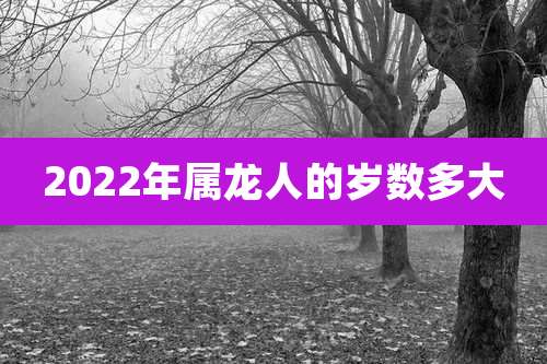 2022年属龙人的岁数多大