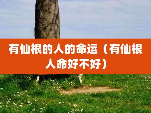 有仙根的人的命运（有仙根人命好不好）