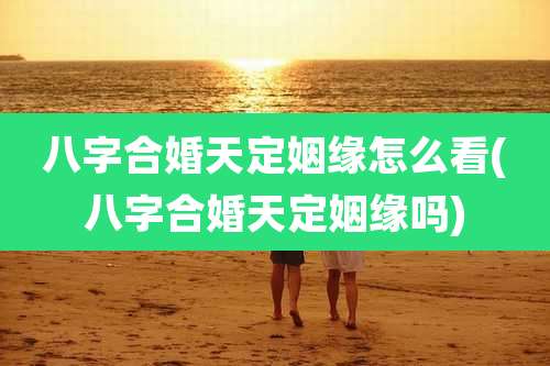 八字合婚天定姻缘怎么看(八字合婚天定姻缘吗)