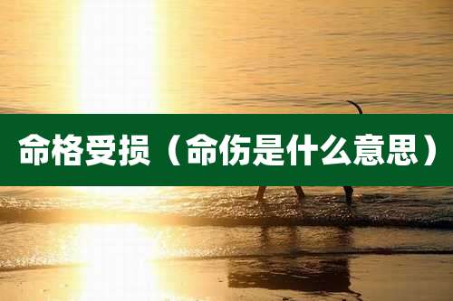 命格受损（命伤是什么意思）