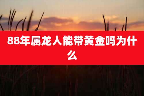 88年属龙人能带黄金吗为什么