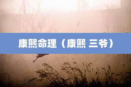 康熙命理（康熙 三爷）